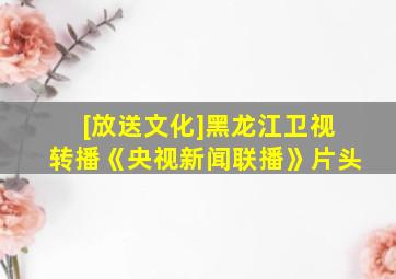 [放送文化]黑龙江卫视转播《央视新闻联播》片头